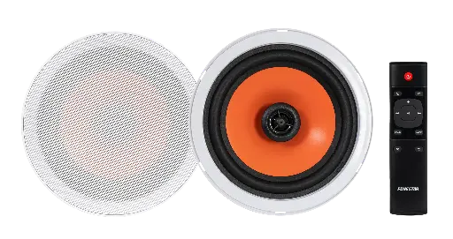 Haut-Parleur Plafonnier KS12B